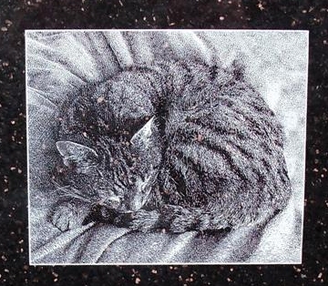 Strahlergebnis in 'Star-Galaxy'